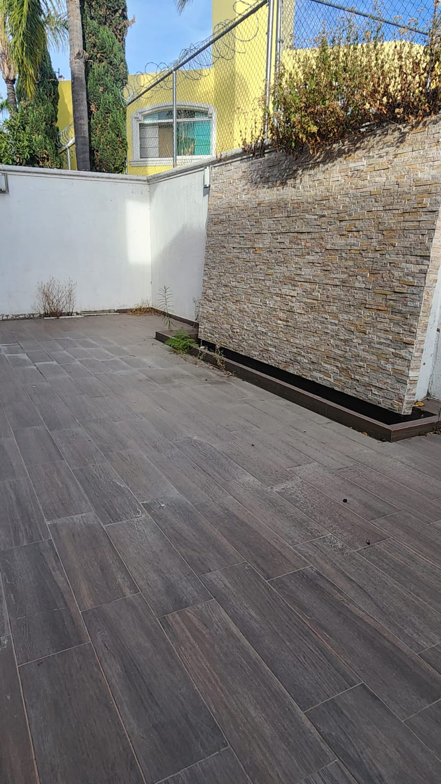 WhatsApp Image 2025-09-01 at 4.38.48 PM (1)